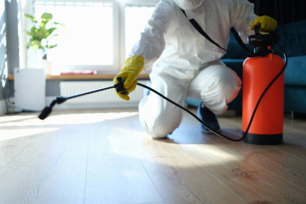 Trusted Trauma Scene Cleanup service in Randsburg, CA - Four Month Blood Cleanse